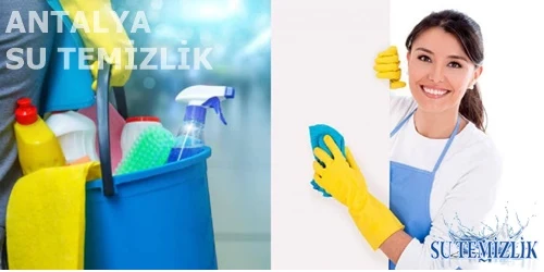 Temizlik ve Temizlik Hizmetleri