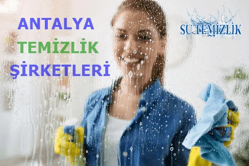 Temizlikte Profesyonel Yardımcı